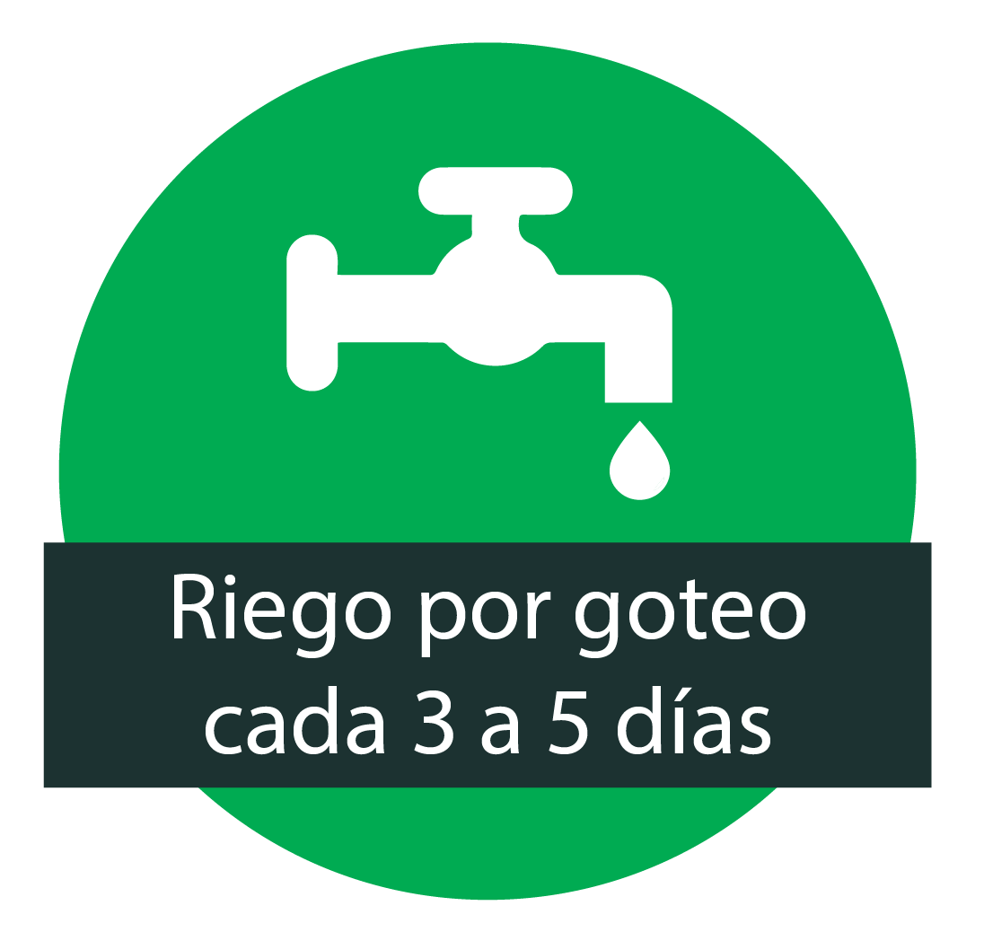 Lo que sí podemos documentar del manejo del agua.